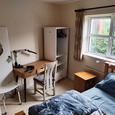 Crescent Apartments Homestay 科克 外观 照片