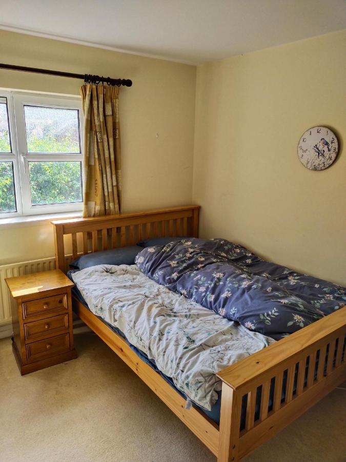 Crescent Apartments Homestay 科克 外观 照片